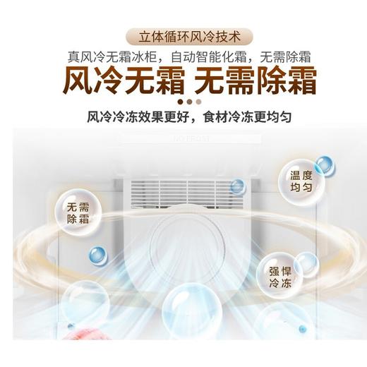 海尔（Haier）BD-138W立式冷藏冷冻转换柜 商品图3