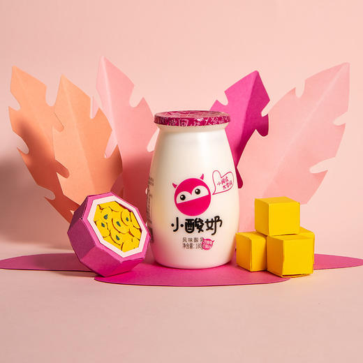 莱思尔小酸奶 商品图2