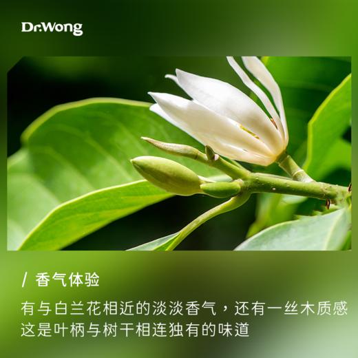 白兰花叶单方精油 Dr Wong