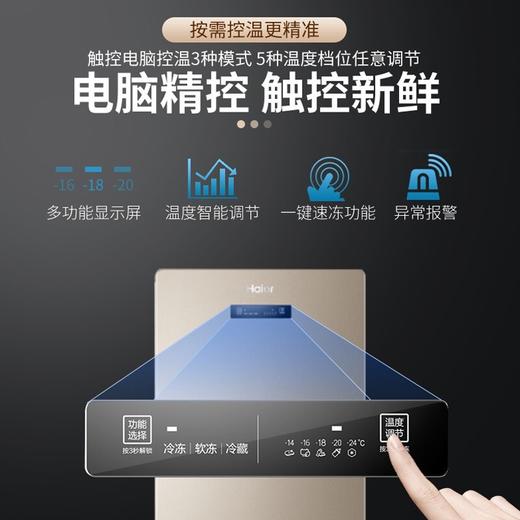 海尔（Haier）BD-138W立式冷藏冷冻转换柜 商品图0