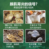 【胃泰康】巨龙动保禽用精神沉郁腺肌胃炎鸡鸭鹅鸽禽药100g/袋 商品缩略图2