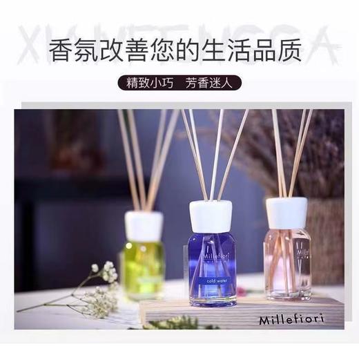 米兰菲丽Millefiori自然系列芬芳挥发液500ML+自然香薰补充装 - 木兰花 250ml补充液 商品图0