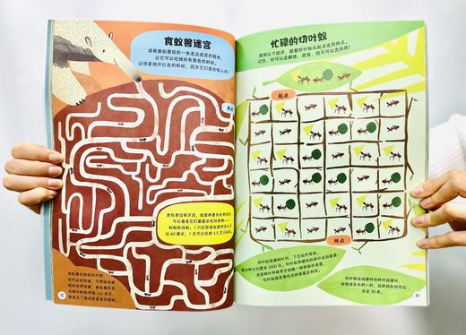 《英国儿童互动百科》全套四册 商品图13