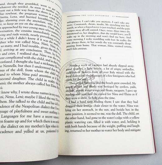 失去的女儿 英文原版小说 The Lost Daughter 那不勒斯四部曲 我的天才女友作者 埃莱娜费兰特 Elena Ferrante 英文版原版英语书籍 商品图2