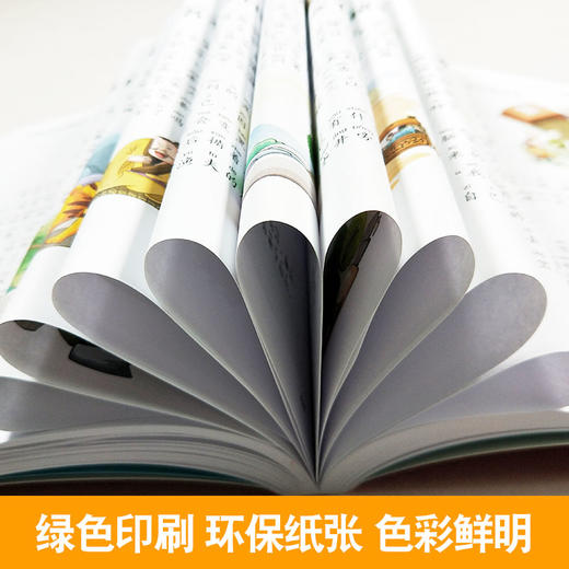 中国民间故事 中国神话故事 中国寓言故事 彩图注音版6-8-12岁一二三年级小学生儿童文学/中国儿童共享的经典丛书 商品图1