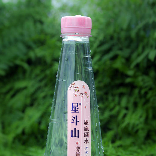【恩施】星斗山天然硒锶活泉水500mlx24瓶 商品图2