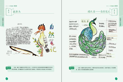 自然观察笔记（2册）孩子手抄报作业参考 商品图4