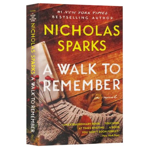 初恋的回忆 英文原版小说 A Walk to Remember 尼古拉斯 斯帕克斯 Nicholas Sparks 英文版进口原版英语书籍 商品图3