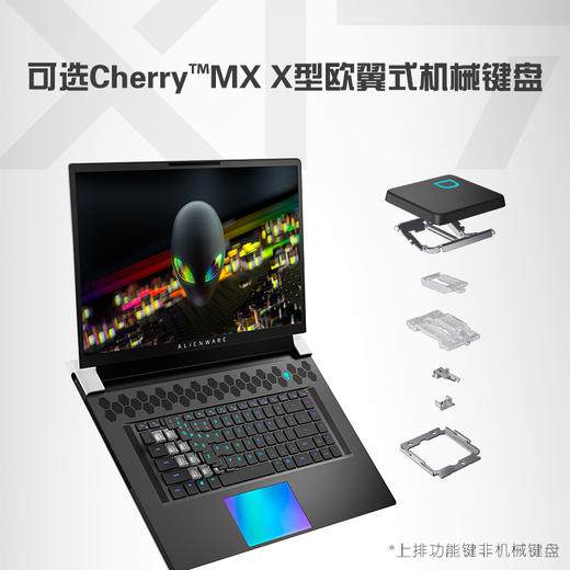 ALIENWARE外星人ALWX17-R1788W 商品图4