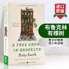 布鲁克林有棵树 英文原版小说 A Tree Grows in Brooklyn 曹文轩推荐 青少年读物 进口英语书籍 英文版 商品缩略图0