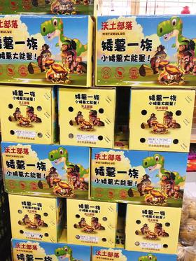 矮薯地瓜一箱（拼团）