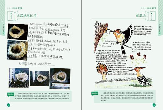 自然观察笔记（2册）孩子手抄报作业参考 商品图3