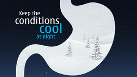 1.餐后1小时腹胀或嗳气 | 循症营养成人版