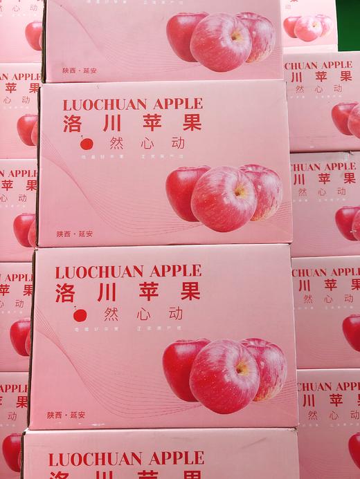 粉箱洛川苹果一箱（拼团） 商品图0