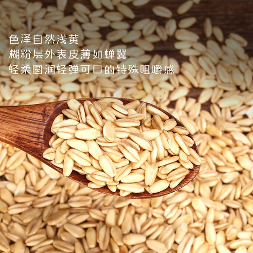 【下单后48小时左右发货】觅赤杂粮 十六谷米500g/包、燕麦米450g/包、五行豆350g/包、三色黎麦500g/包、赤小豆薏仁米400g/包。 每种3包装/份 商品图7