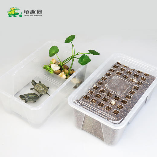 龟趣园DIY乌龟孵化套装，让孩子见证生命的诞生，陪伴孩子一起成长 商品图1