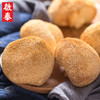 香港啟泰猴头菇100g古田猴头菇南北干货煲汤材料 商品缩略图1