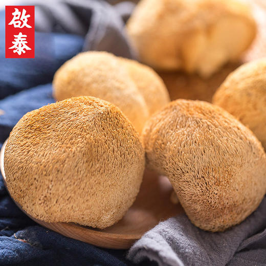 香港啟泰猴头菇100g古田猴头菇南北干货煲汤材料 商品图1