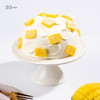 芒果炸弹下午茶，可选1.5磅 商品缩略图1