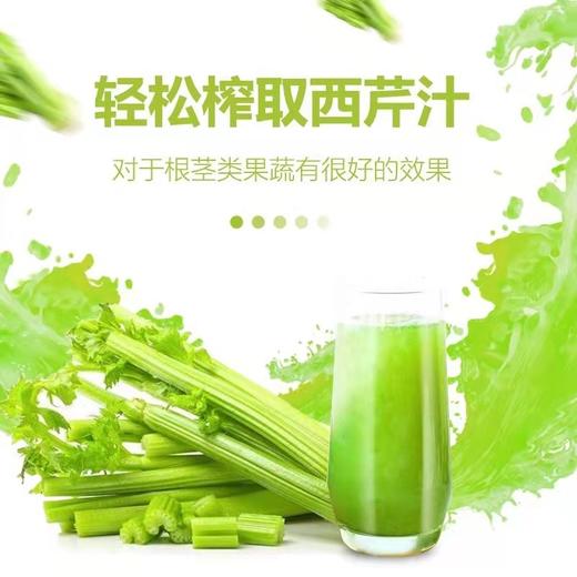 omega juicers 榨汁机家用全自动果蔬多功能原汁机低速慢磨机 商品图2