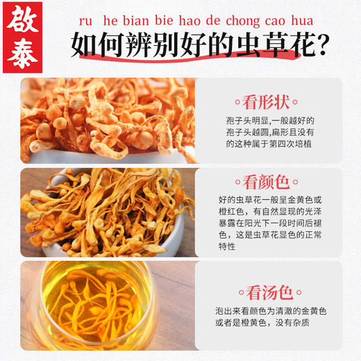 香港啟泰 虫花干货130g袋装 炖鸡汤料包 南北干货金蛹虫孢子头煲汤材料 商品图3