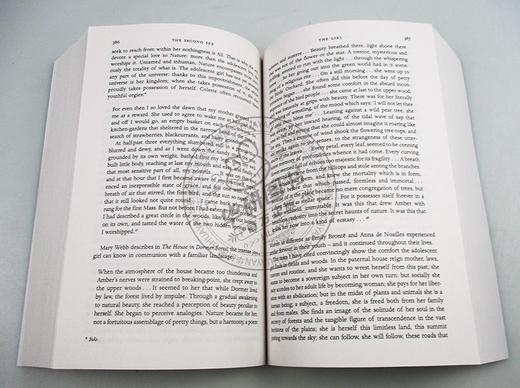 第二性 英文原版小说 The Second Sex Simone De Beauvoir 西蒙娜德波伏娃 人文科学课外平装阅读 英文版进口原版英语书籍 商品图3