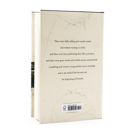 猴年 帕蒂史密斯回忆录 英文原版 Year of the Monkey 猴之年岁次甲申 Patti Smith 美国朋克摇滚女诗人 进口纽约时报畅销书 商品图1