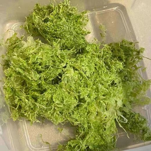 omega juicers 榨汁机家用全自动果蔬多功能原汁机低速慢磨机 商品图4