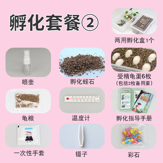 龟趣园DIY乌龟孵化套装，让孩子见证生命的诞生，陪伴孩子一起成长 商品图4