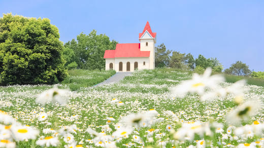 春假/清明/五一可用单人门票+职业体验特惠89起【黄龙溪欢乐田园】 商品图12