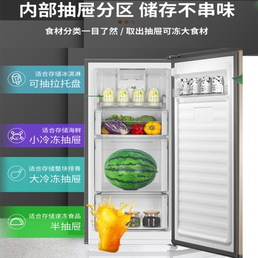 海尔（Haier）BD-138W立式冷藏冷冻转换柜 商品图2