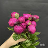 精品花材红莎拉芍药花5支 商品缩略图9