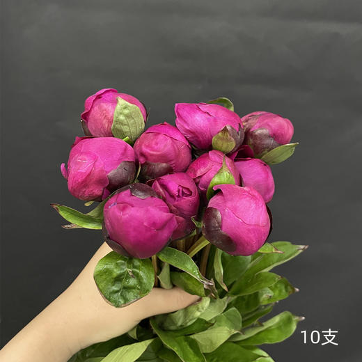 精品花材红莎拉芍药花5支 商品图9