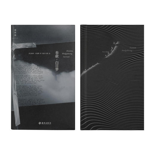 奉献·白日梦 商品图1