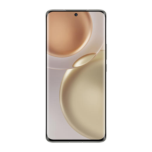 荣耀Magic4  手机  12GB+256GB 商品图1