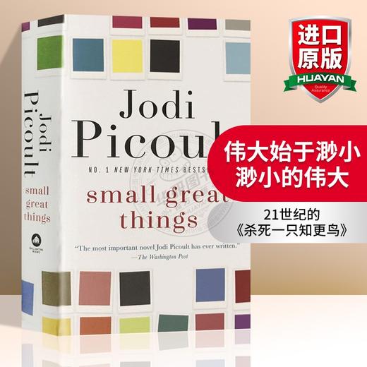 伟大始于渺小 渺小的伟大 英文原版小说 Small Great Things 姐姐的守护者作者 朱迪皮考特新作 英文版进口书籍 搭杀死一只知更鸟 商品图0