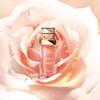 克丽丝汀迪奥花秘瑰萃玫瑰微凝珠赋活精华 商品缩略图0
