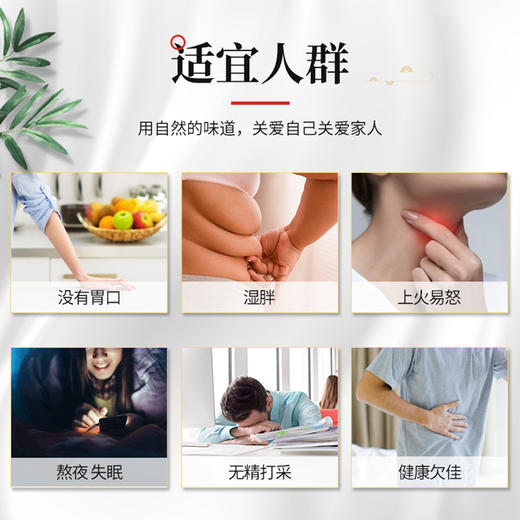 香港啟泰桑叶菊花雪梨汤料100g广东煲汤材料炖鸡汤料包熬汤食材 （3-6人食用） 商品图3