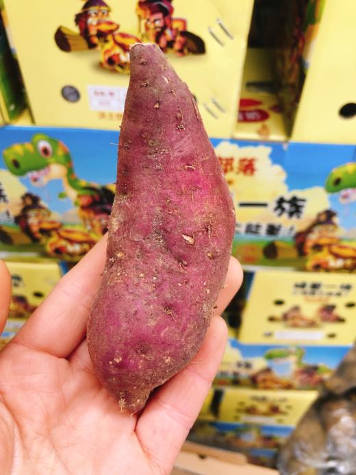 矮薯地瓜一箱（拼团） 商品图3