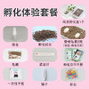 龟趣园DIY乌龟孵化套装，让孩子见证生命的诞生，陪伴孩子一起成长 商品缩略图2