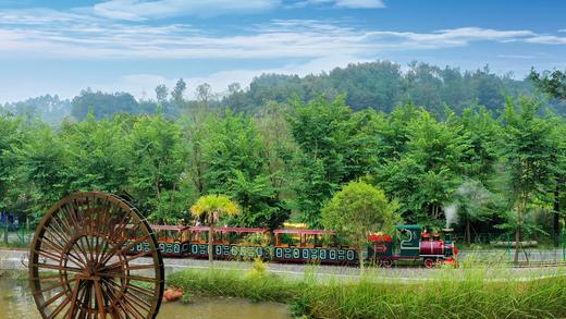 春假/清明/五一可用单人门票+职业体验特惠89起【黄龙溪欢乐田园】 商品图6