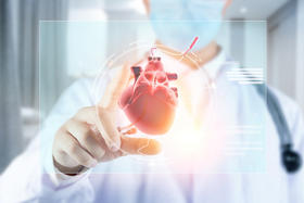 “五脏六腑”如何保养？记住这些妙招！