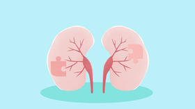 中医「养肾」三字经，助您养好肾！