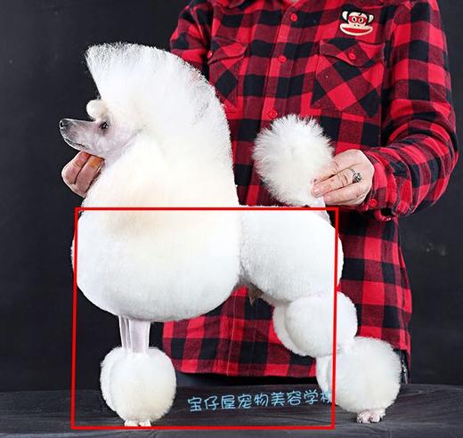 供货库存 商品图1