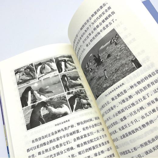 纳米技术就在我们身边(4年级)/小学语文同步阅读书系 商品图2