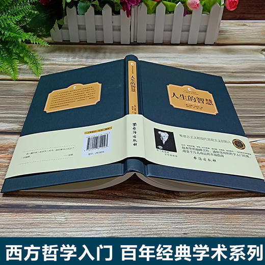 【正版】人生的智慧 叔本华 人生哲学智慧美学 韦启昌推荐 叔本华经典书籍 唯意志主义西方哲学经典名著哲学西方百年学术经典 商品图3