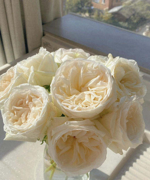 昆明玫瑰白荔枝20支扎a级