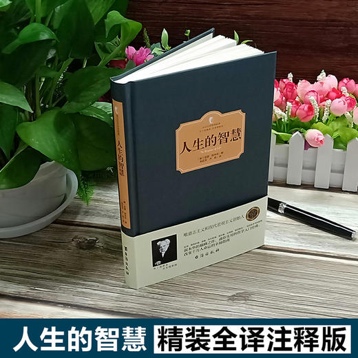 【正版】人生的智慧 叔本华 人生哲学智慧美学 韦启昌推荐 叔本华经典书籍 唯意志主义西方哲学经典名著哲学西方百年学术经典 商品图1
