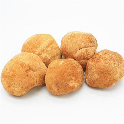 【登真缘】猴头菇100g/罐 商品图3