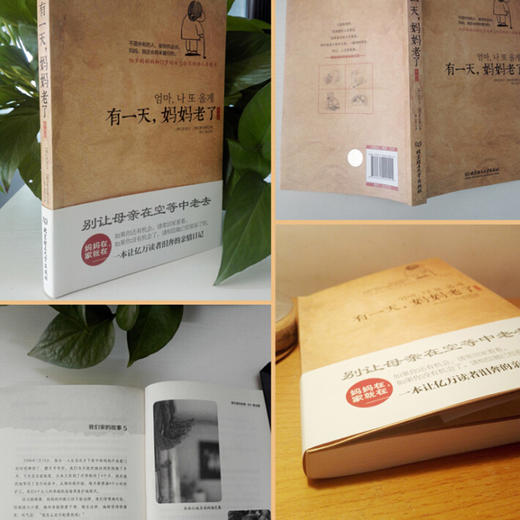 【正版】 有一天妈妈老了【插画版】妈妈在家就在 一本让亿万读者泪奔的亲情日记 别让母亲老去情亲现代文学 家庭教育畅销书籍 商品图3